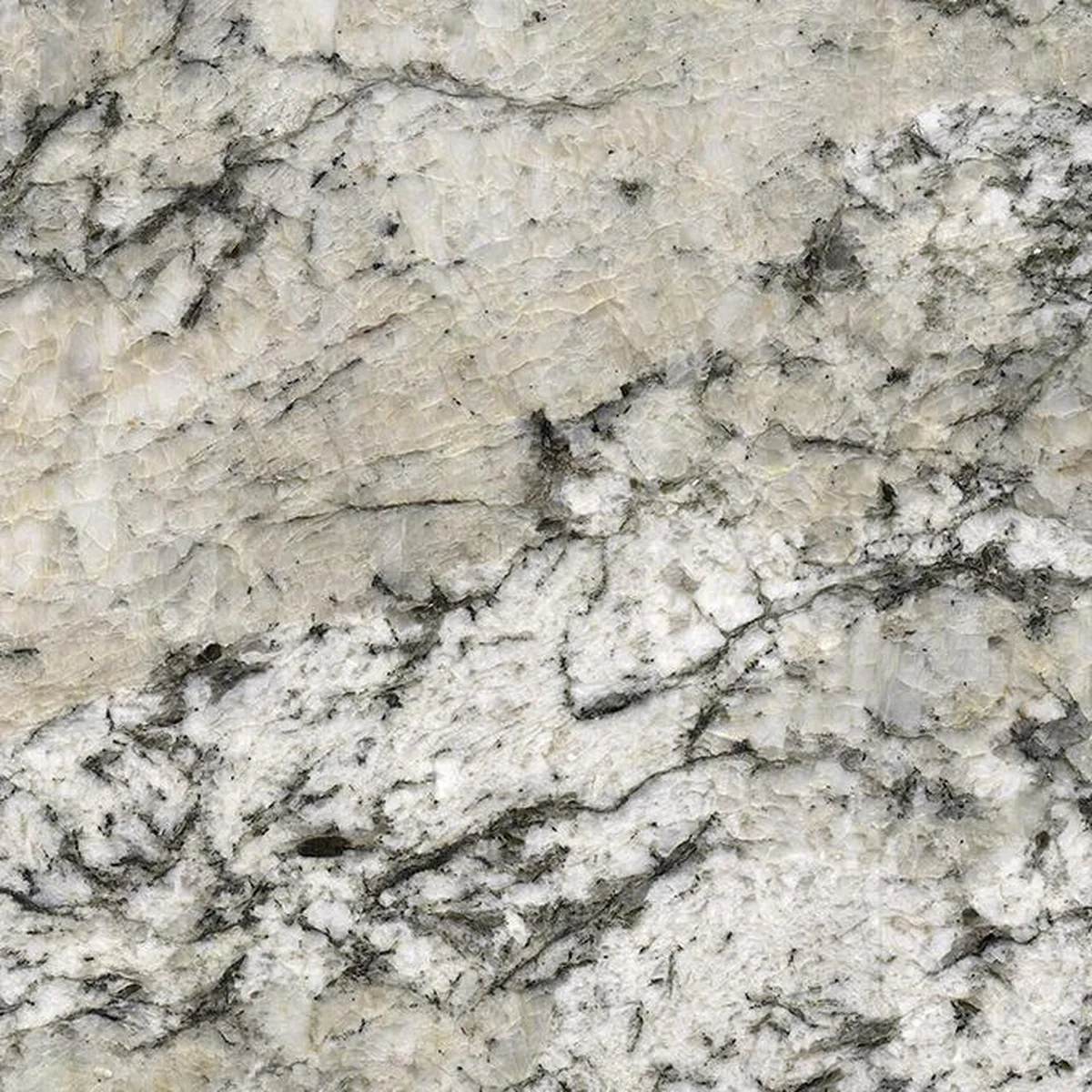 Alaska Beige · granito · campione