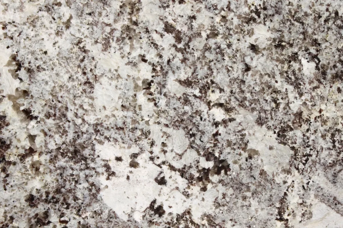 Alaska White · marm