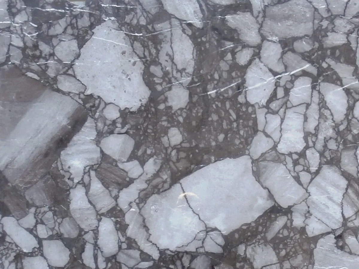 Arabescato Alpino · marmo bianco · campione