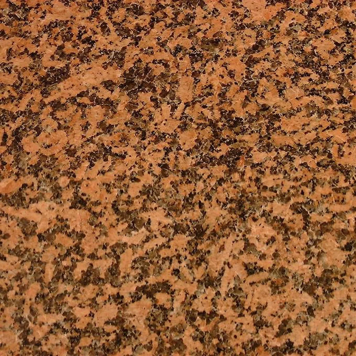 Balmoral Fin Grain · granito · campione