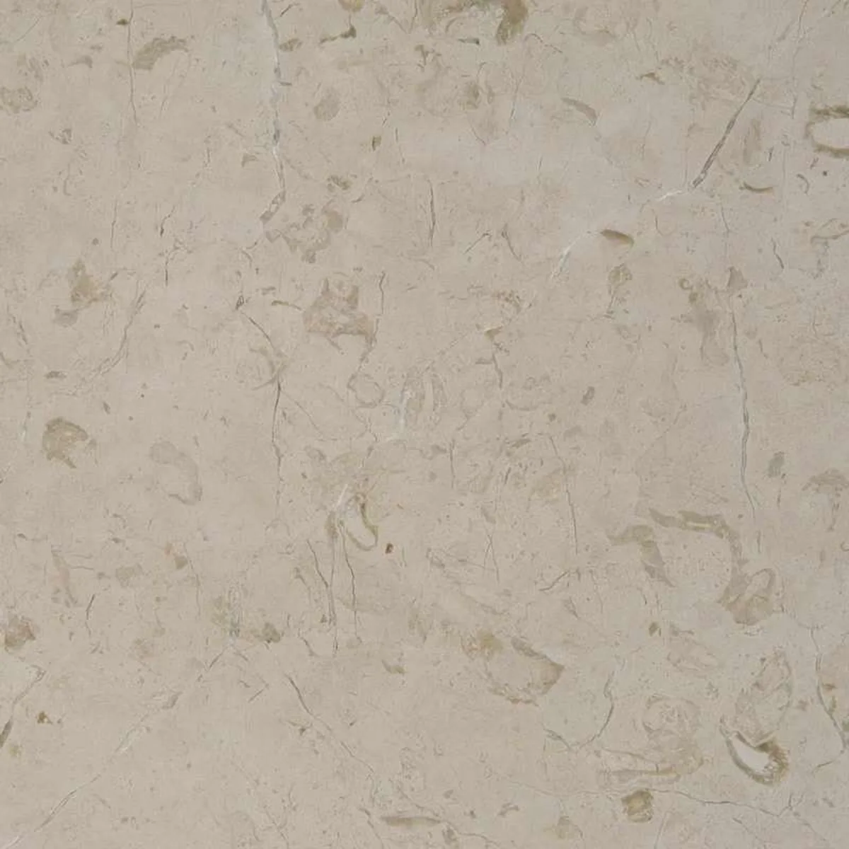 Beige Fossile Chiaro · marm