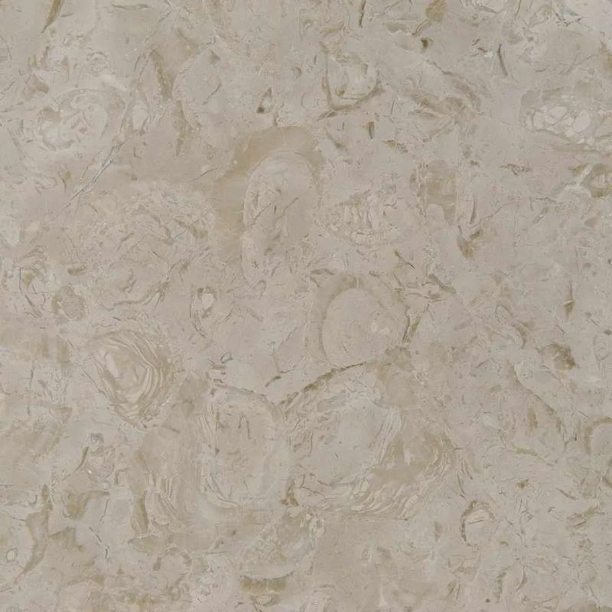 Beige Fossile Scuro · marm