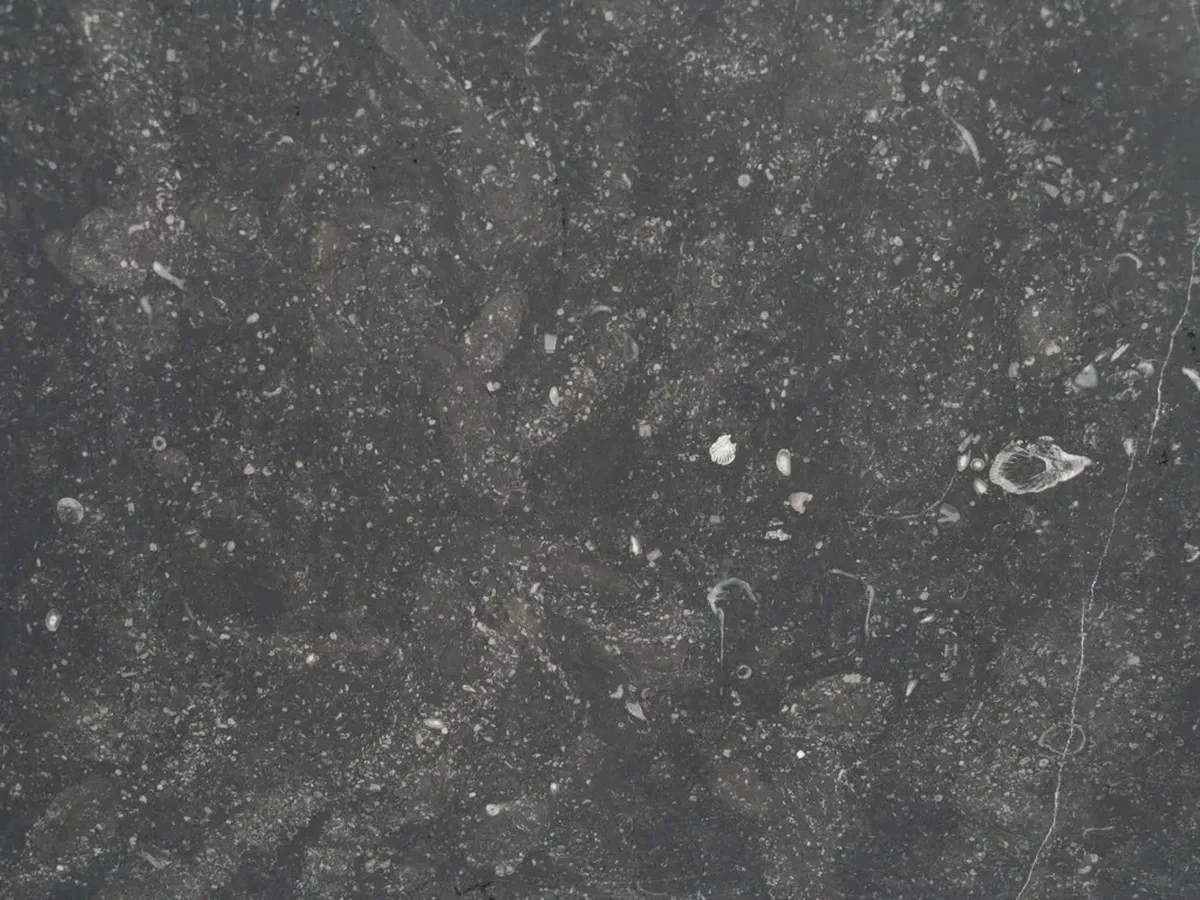 Belgian Blue Stone · marm