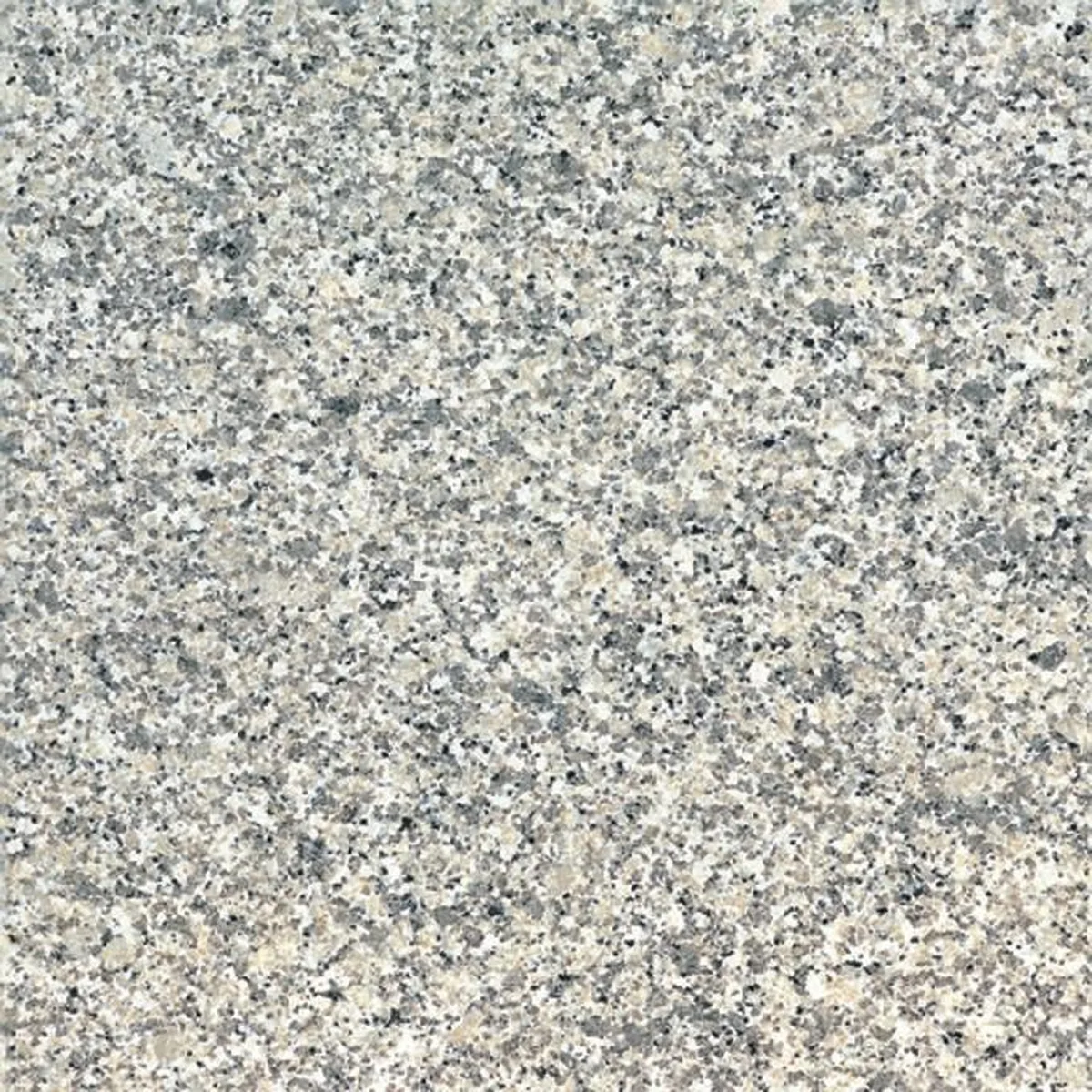 Bianco Sarde F · granito · campione