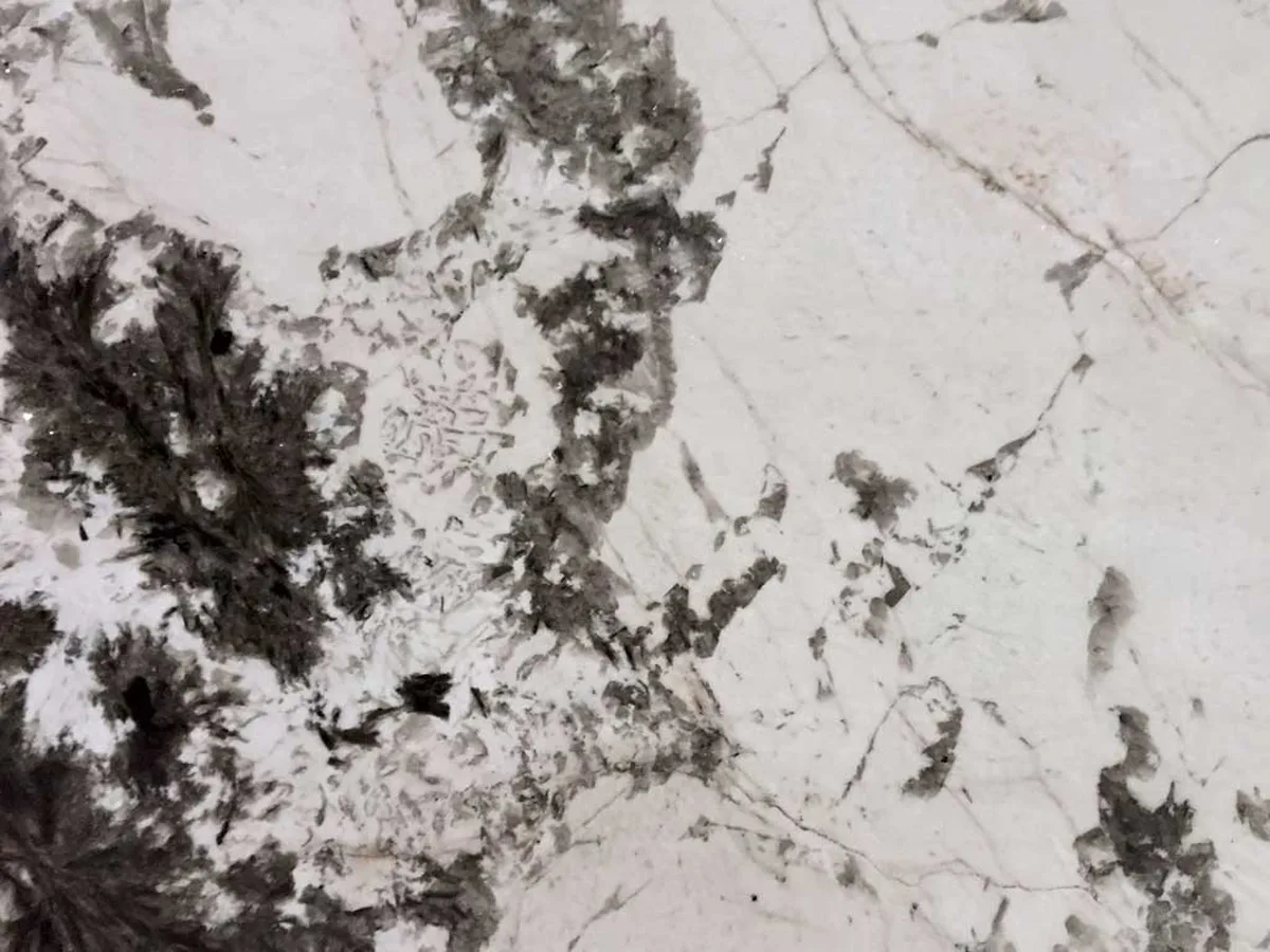 Blanc de Blanc · granito bianco · campione