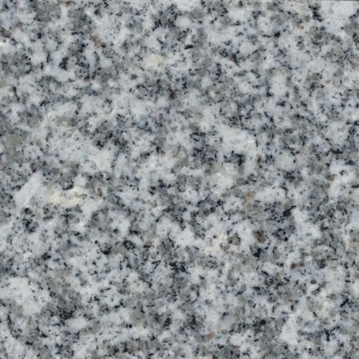 Blanc Perle · granito · campione