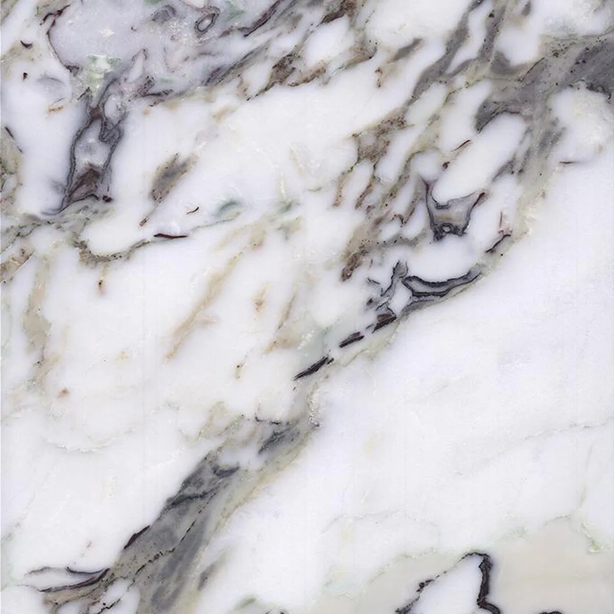 Breccia Medicea · marmo · campione