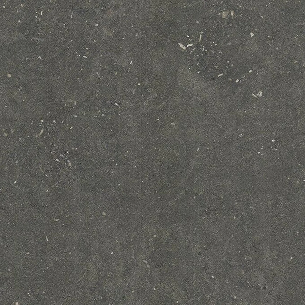 Buxy Gris · pietra naturale grigio · campione