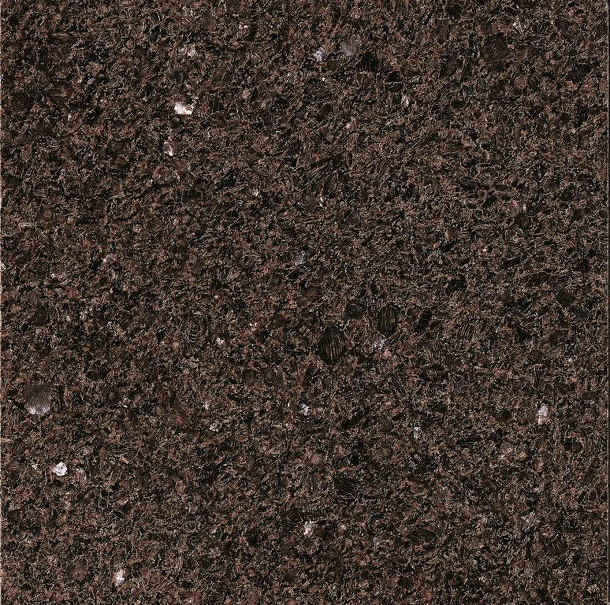 Caffe' Imperiale · granito marrone · campione