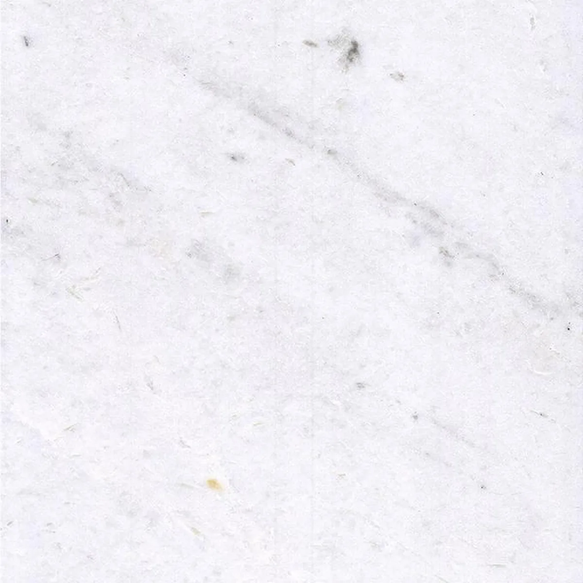 Calacatta Atlantico · marmo · campione