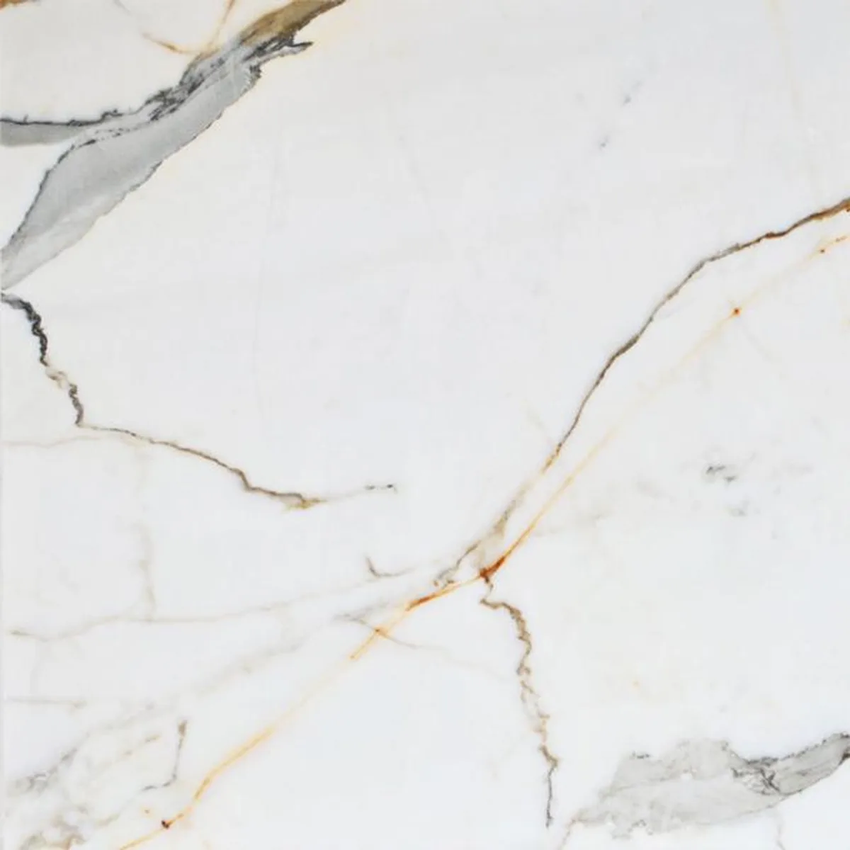 Calacatta Borghini · marmo · campione