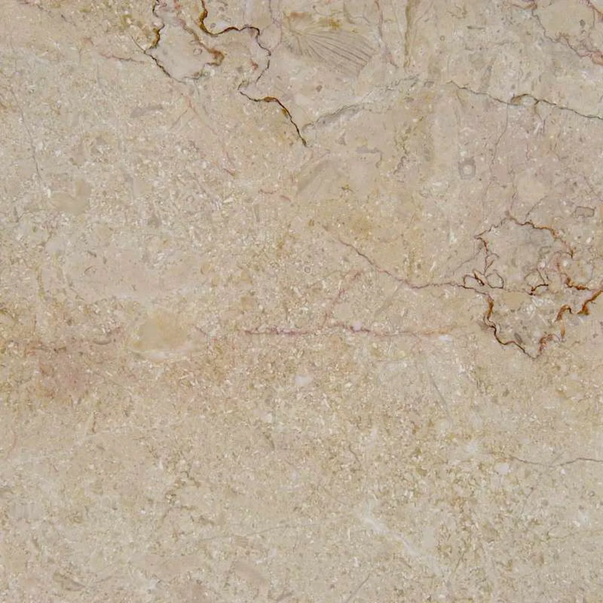 Crema Anatolia Spazzolato · marm