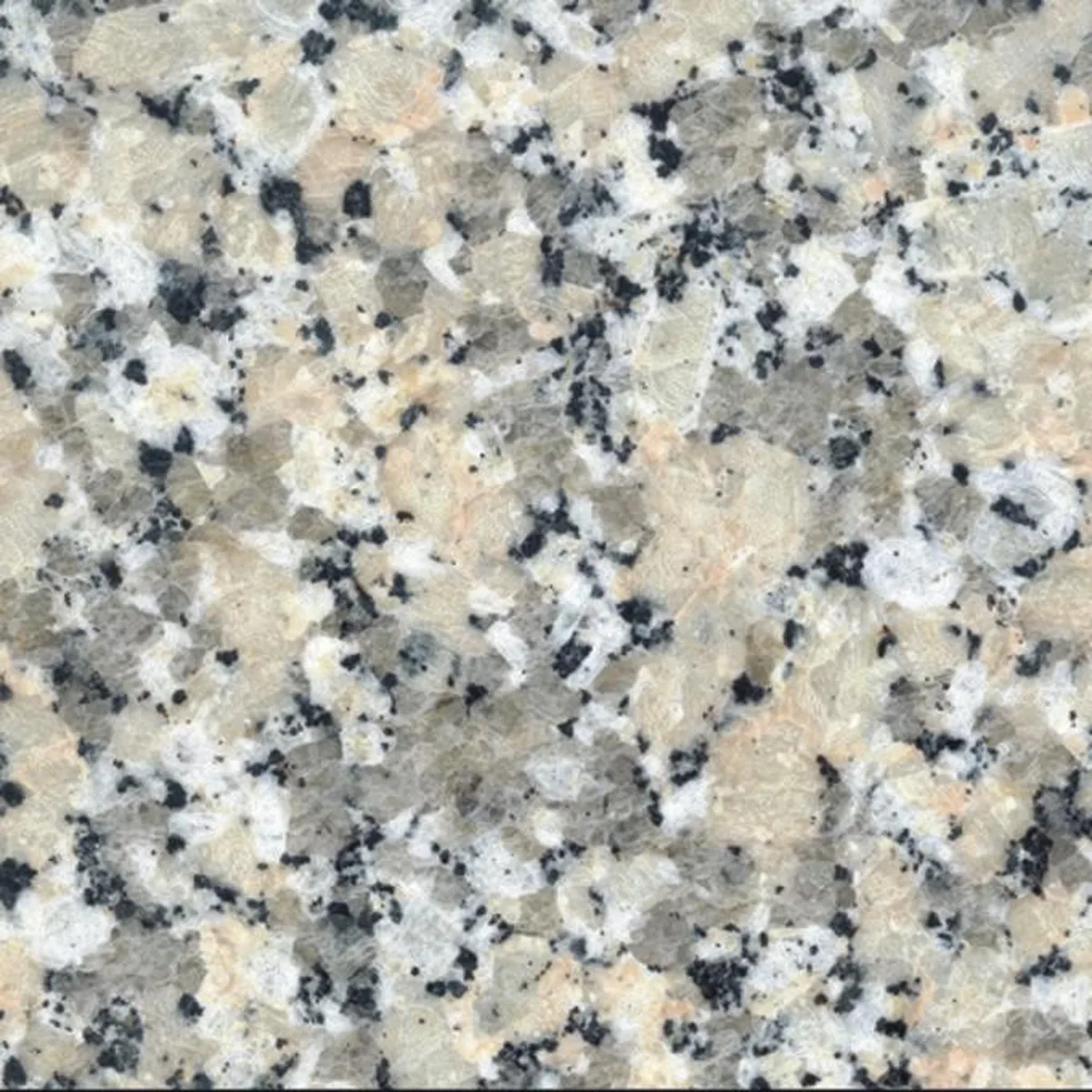 Crema Julia · granito · campione
