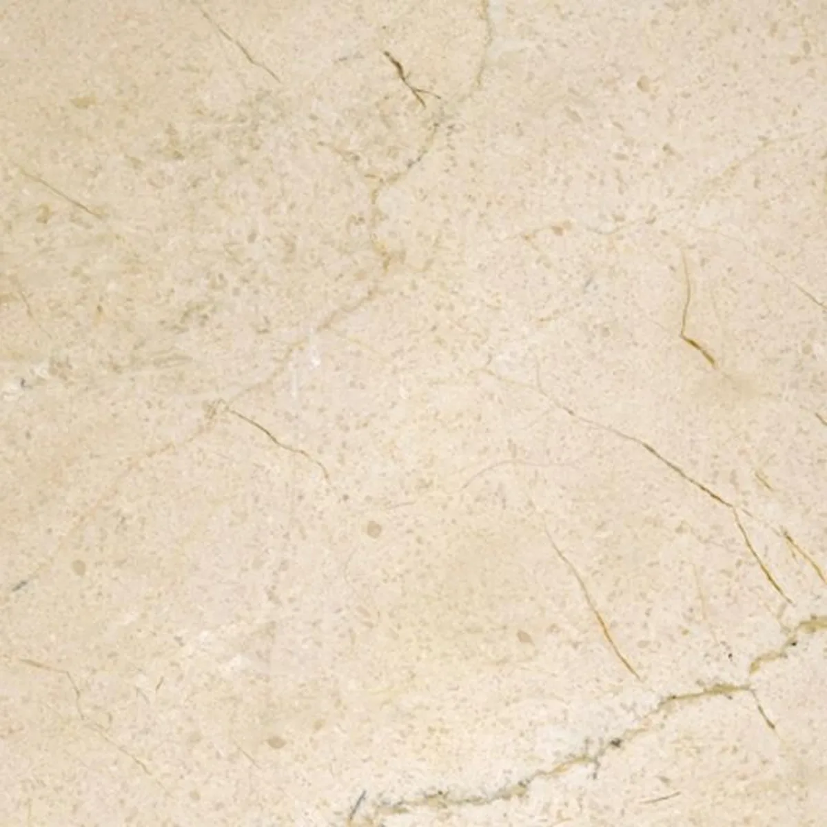 Crema Marfil Select · marmo · campione