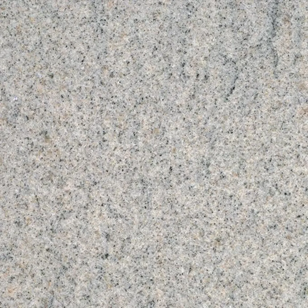 Indian White · granito · campione