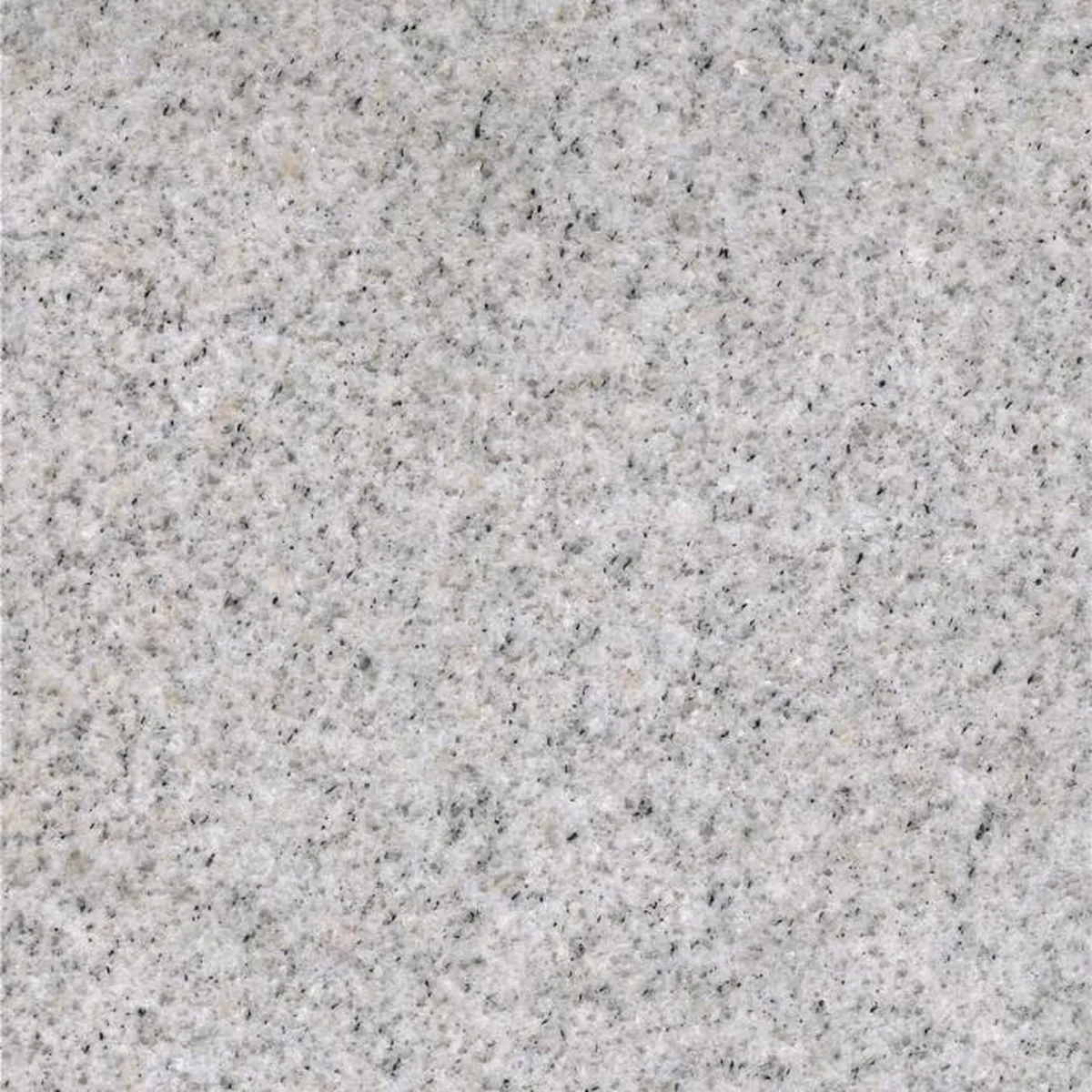 Indian White Extra · granito · campione