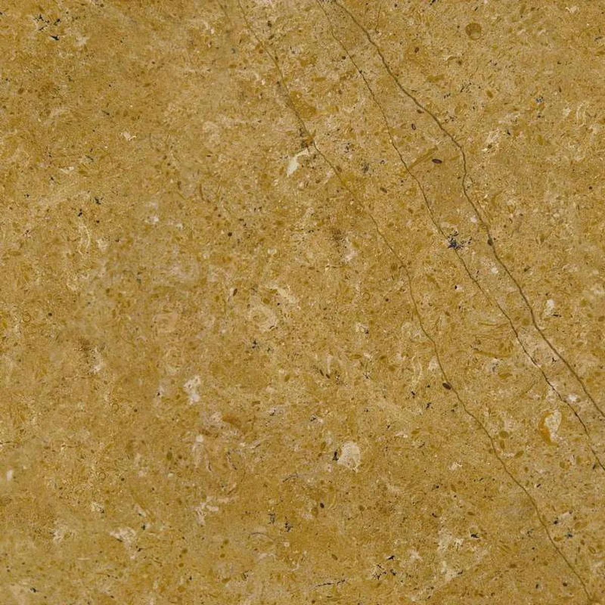 Indus Gold · marmo · foto 3