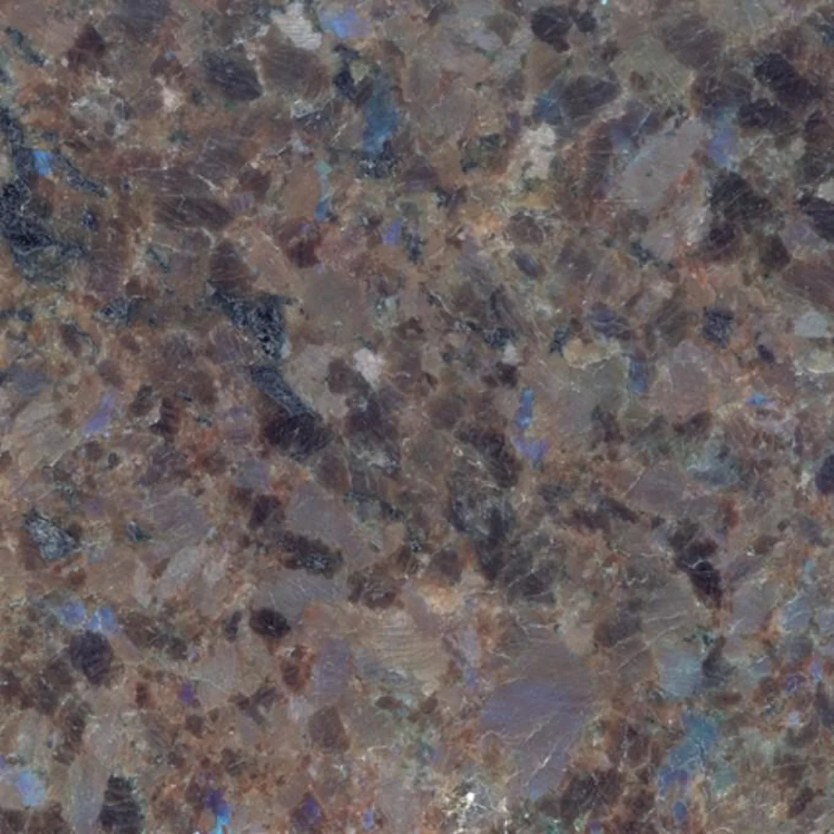 Labrador Blue Antique · granito · campione