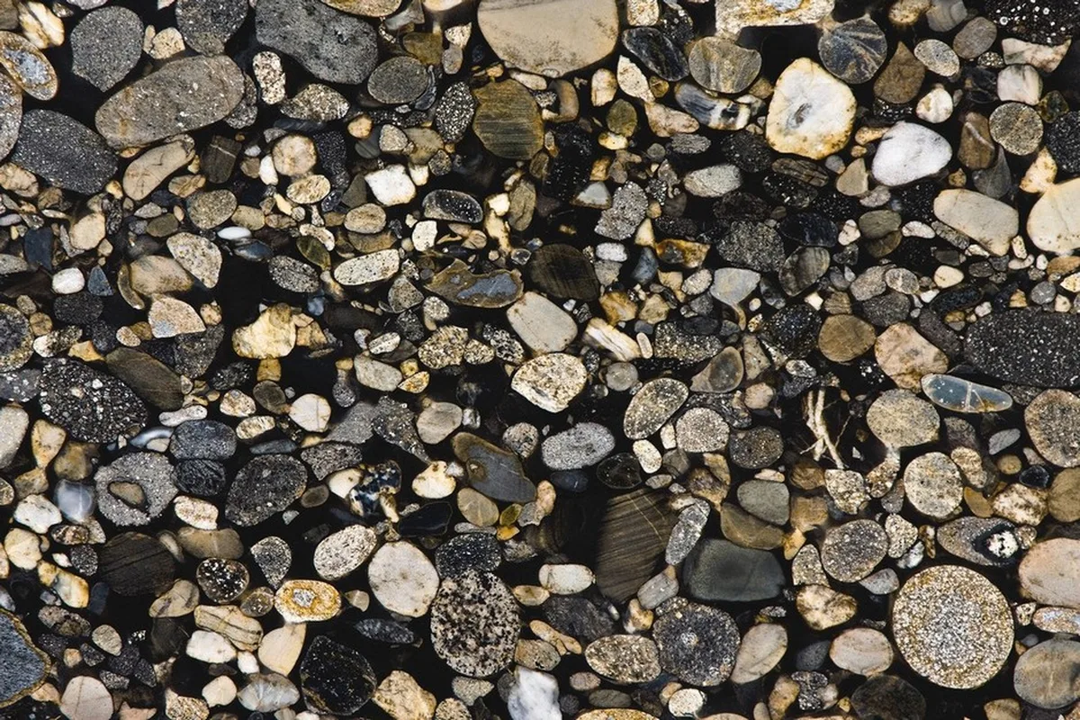 Marinace Black and Gold · quarzite nero · campione