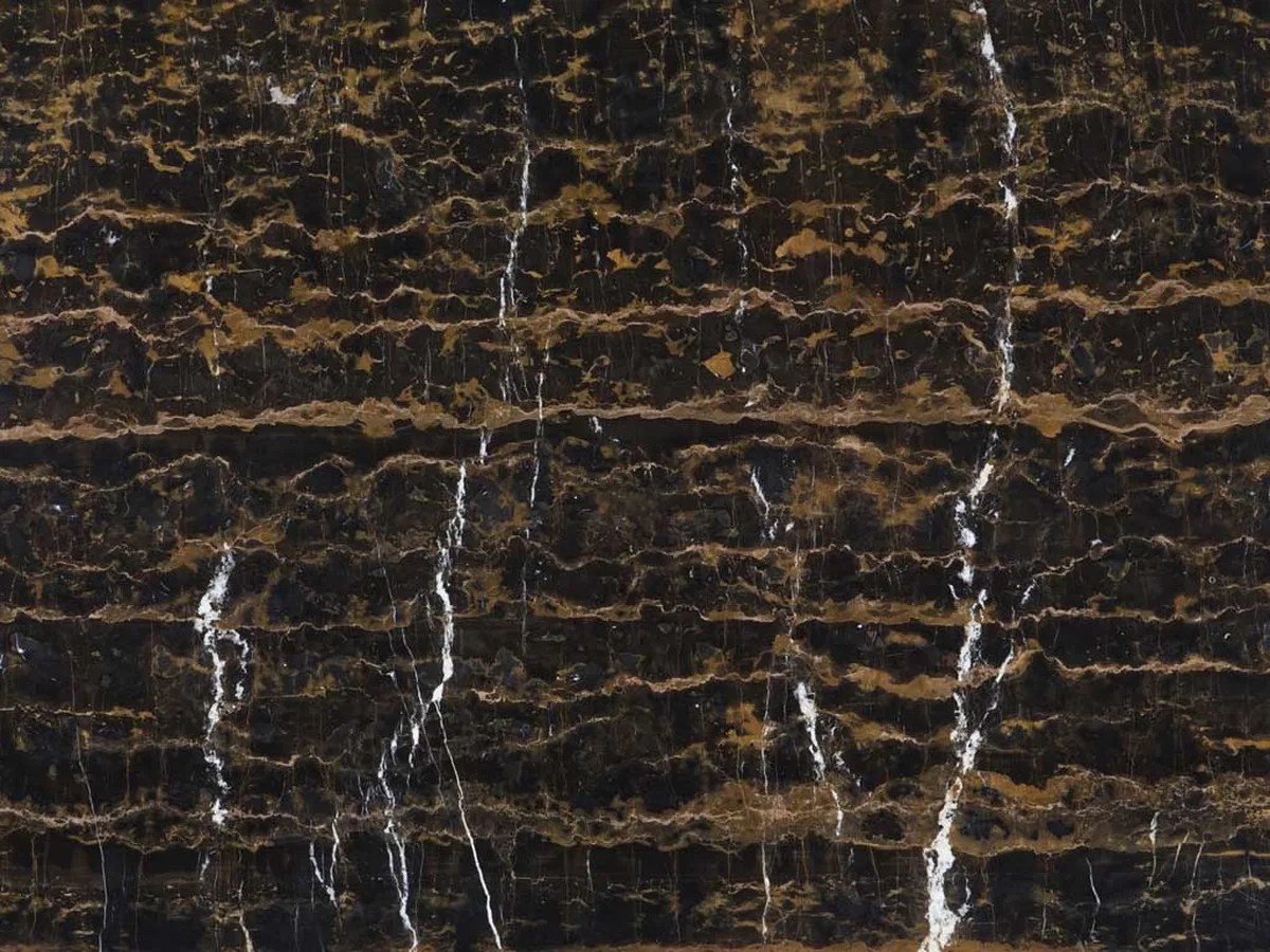 Michelangelo Black and Gold · marmo nero · campione