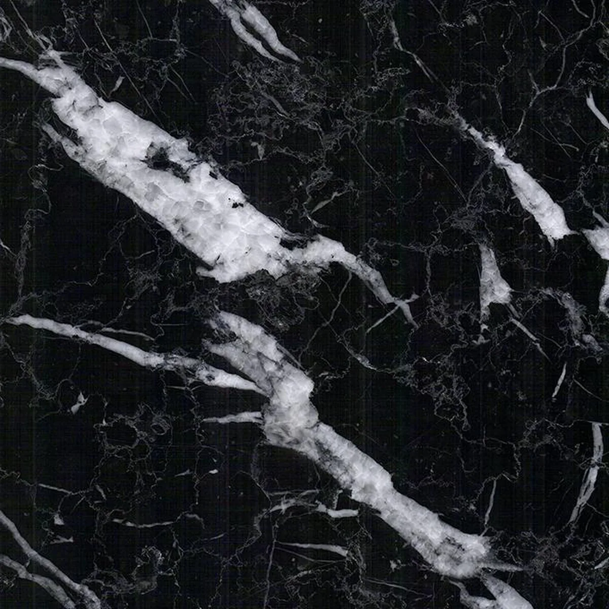 Nero Marquina C · marmo · campione