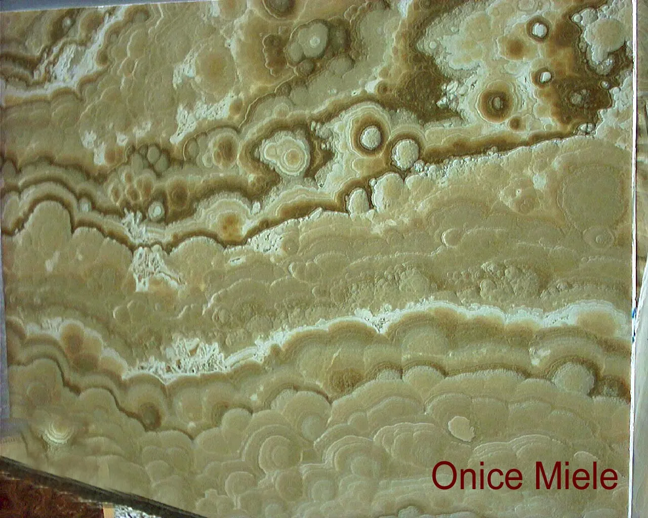 Onice Miele Al Contro · onic