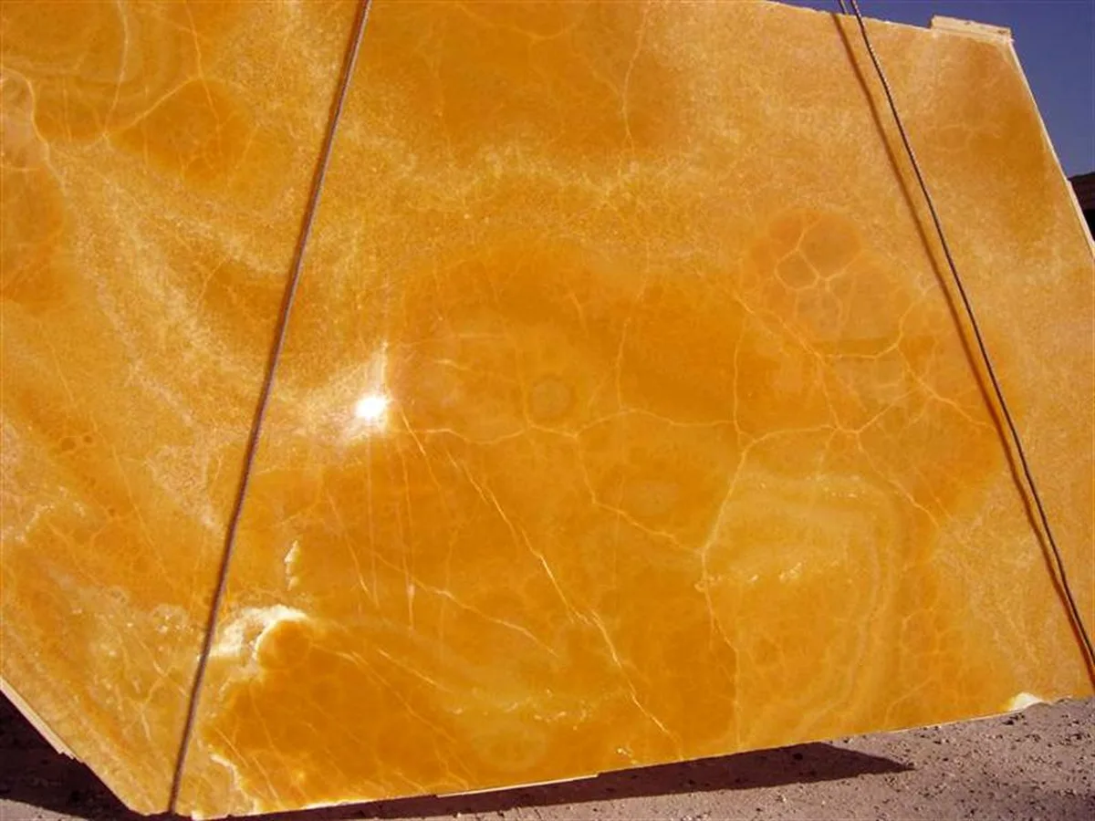Onyx Orange 1 (Large) · onic