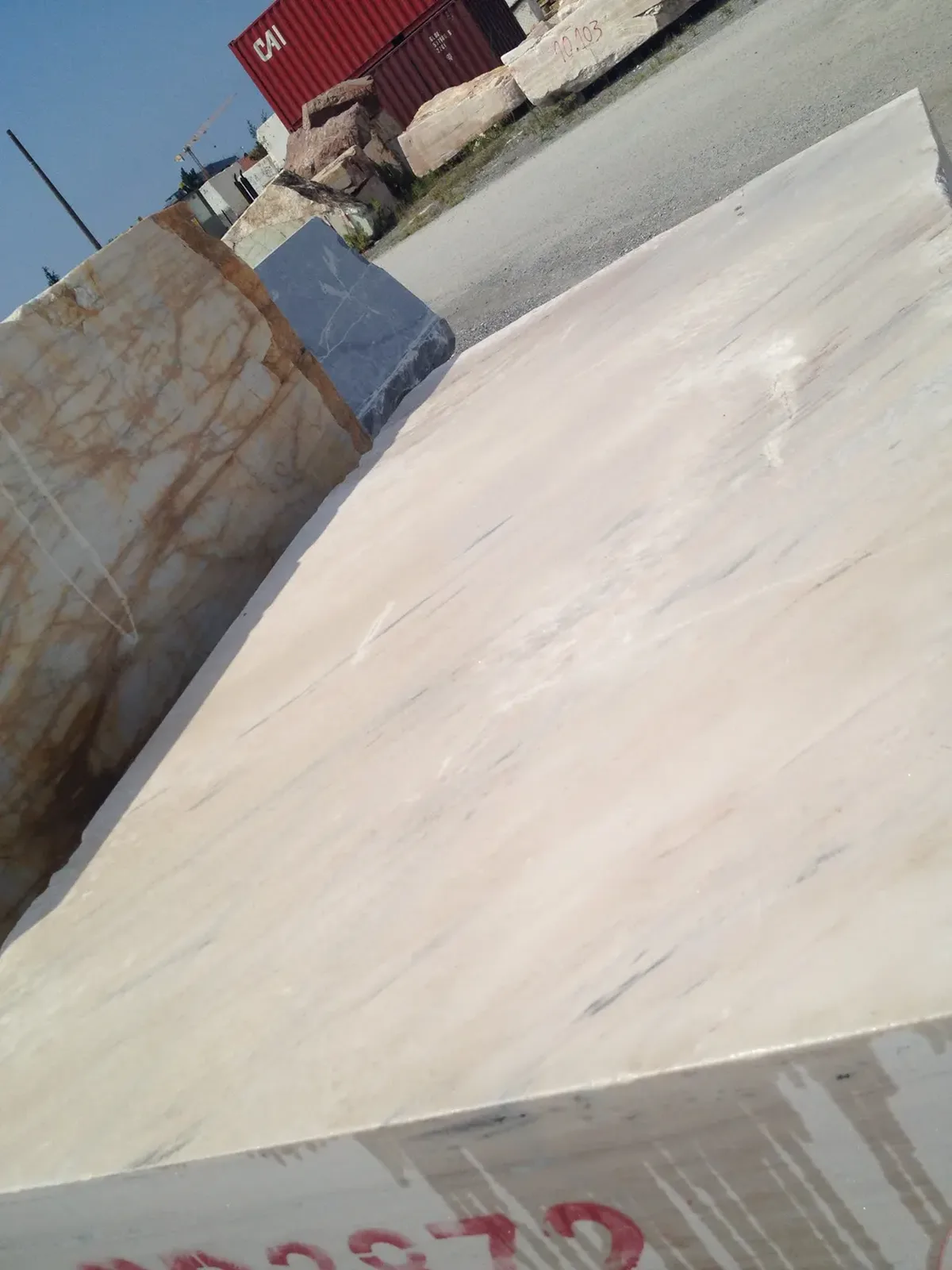 Palissandro Classico Extra · marmo · foto 6