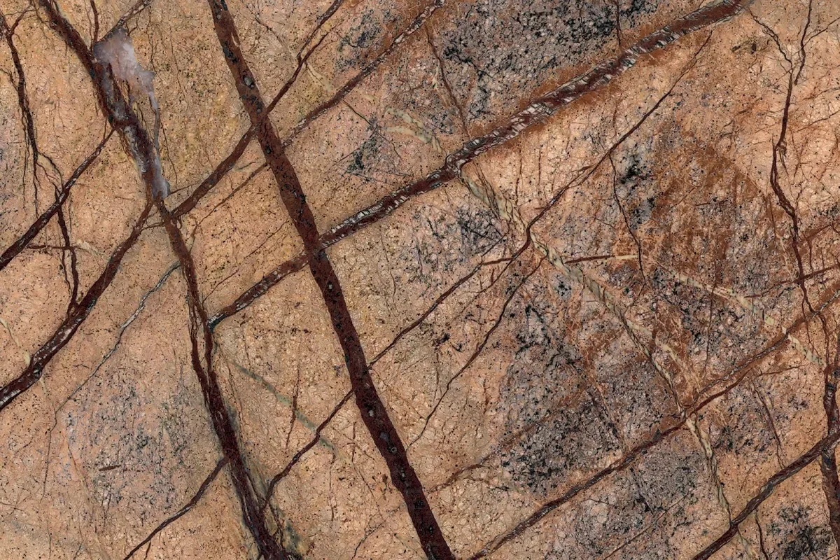 Rain Forest Brown · marm
