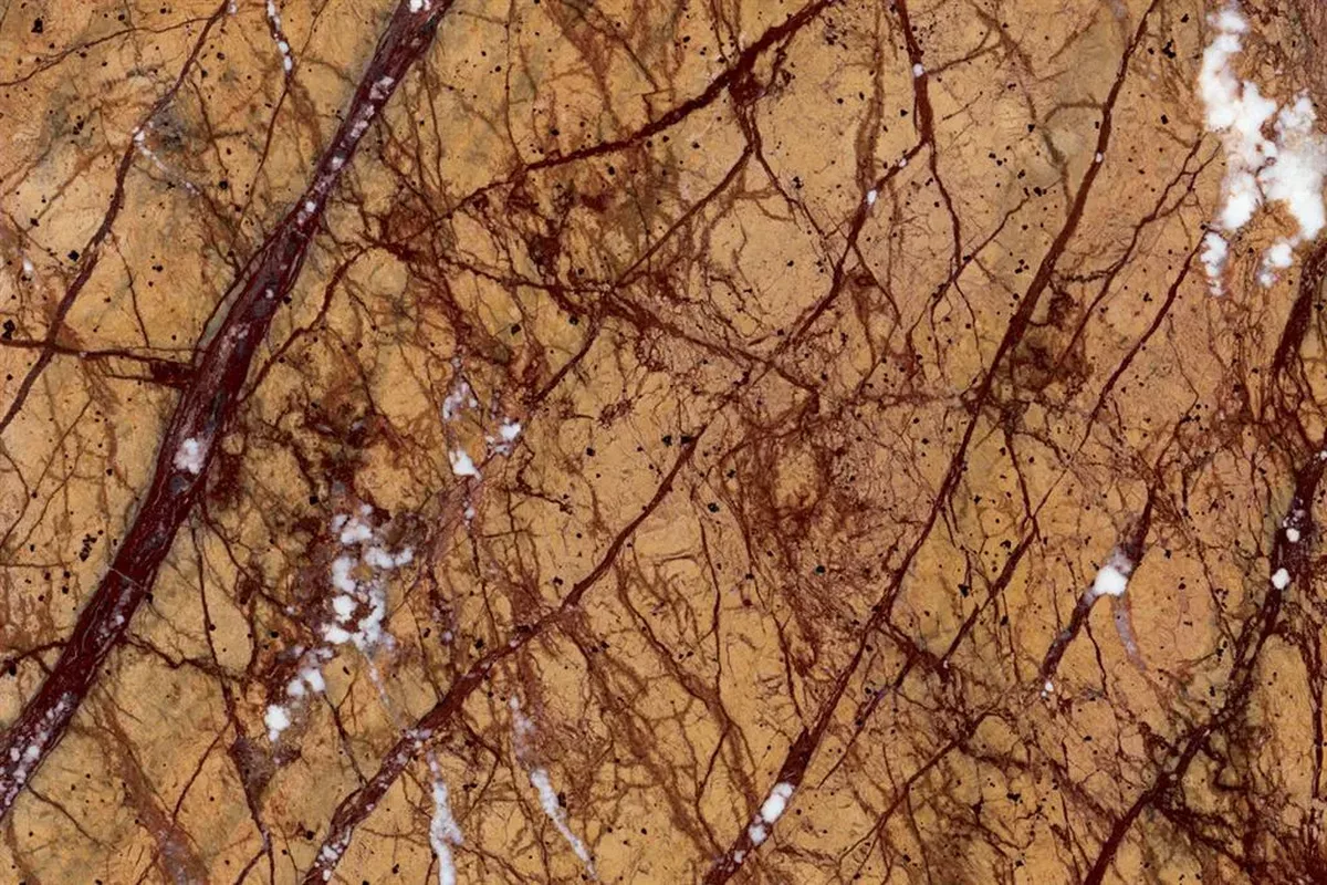 Rain Forest Gold · marmo · foto 2