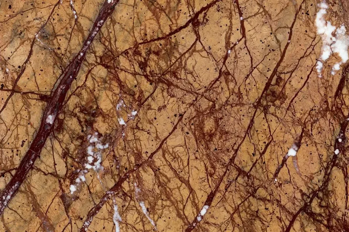 Rain Forest Gold · marmo · foto 3