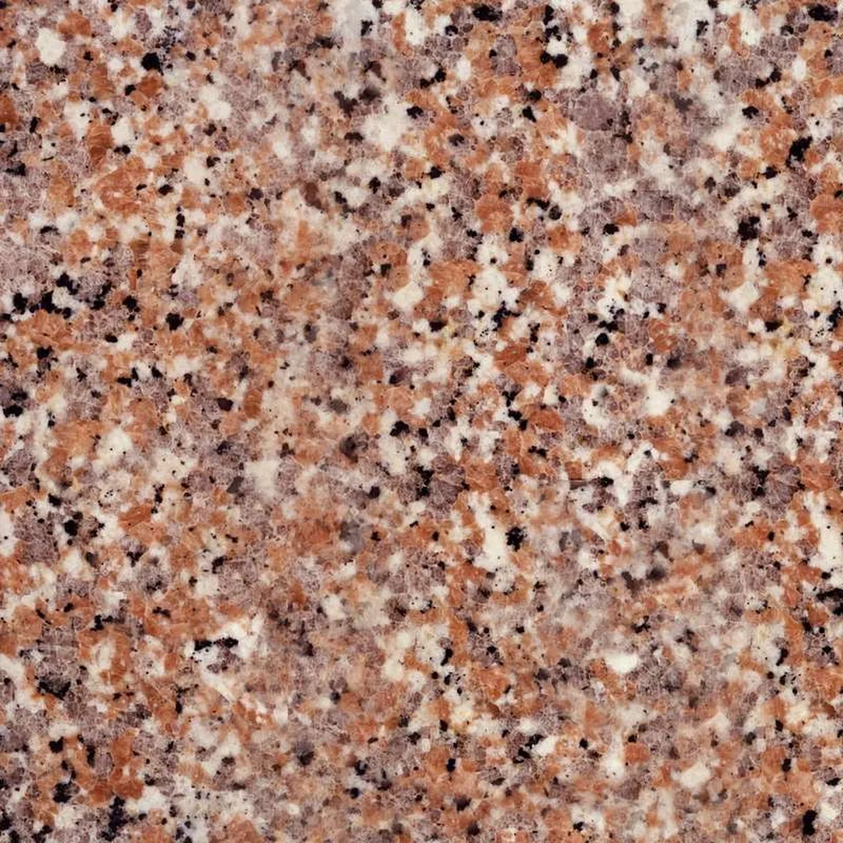 Rosa Sardo · granit