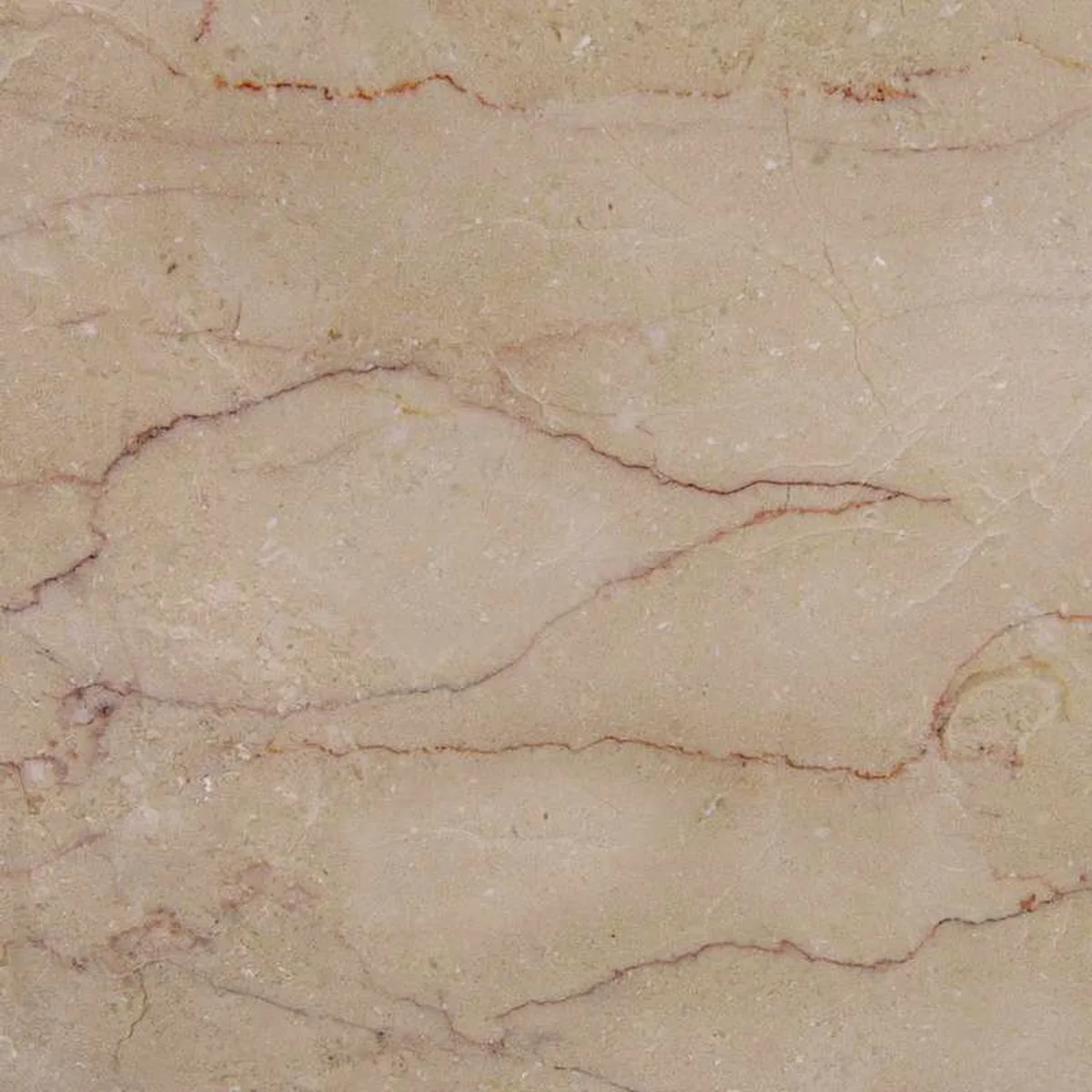 Rosalia Light · marm