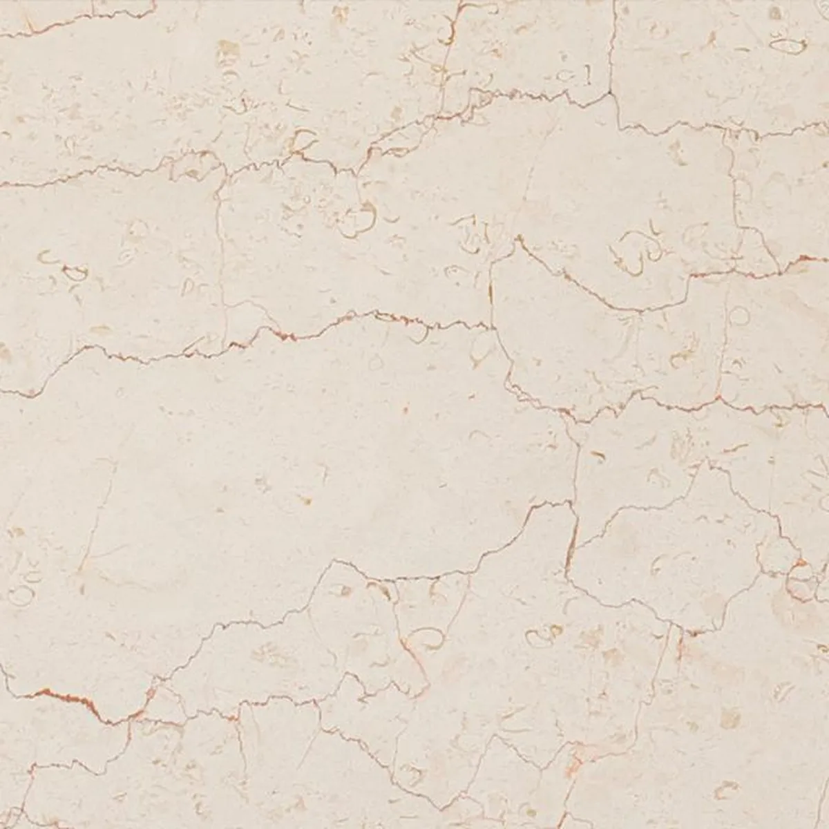 Sahara Beige · marmo · campione