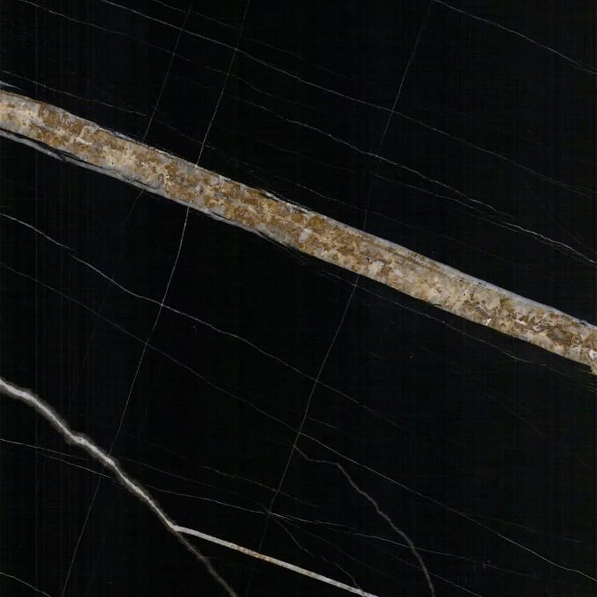 Sahara Noir · marmo · campione