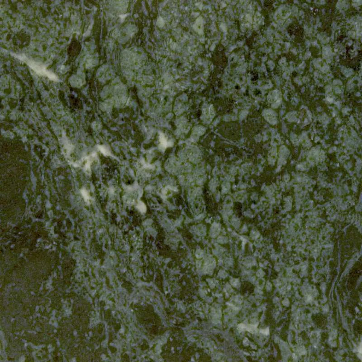 Verde Imperiale · marmo · foto 2